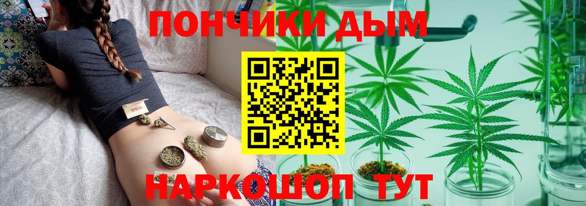 Марихуана планчик  Вход с VPN  Марихуана MAZAR  Бошки марихуана AK-47  Марихуана план  Кстово 